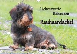 Liebenswerte Rabauken Rauhaardackel / CH-Version (Wandkalender 2020 DIN A3 quer)
