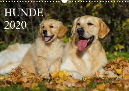 Hunde - Treue Freunde für´s Leben (Wandkalender 2020 DIN A3 quer)