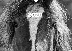 Portraits de Chevaux 2020 (Wandkalender 2020 DIN A3 quer)