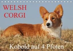 Welsh Corgi - Kobold auf 4 Pfoten (Tischkalender 2020 DIN A5 quer)