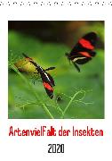 Artenvielfalt der Insekten (Tischkalender 2020 DIN A5 hoch)