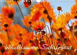Wildblumen Südafrikas (Wandkalender 2020 DIN A4 quer)