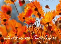 Wildblumen Südafrikas (Wandkalender 2020 DIN A3 quer)