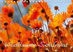 Wildblumen Südafrikas (Tischkalender 2020 DIN A5 quer)