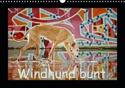 Windhund bunt (Wandkalender 2020 DIN A3 quer)