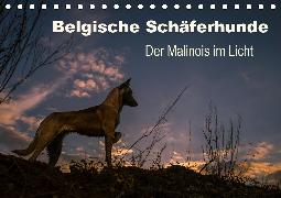 Belgische Schäferhunde - Der Malinois im Licht (Tischkalender 2020 DIN A5 quer)