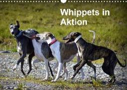 Whippets in AktionAT-Version (Wandkalender 2020 DIN A3 quer)