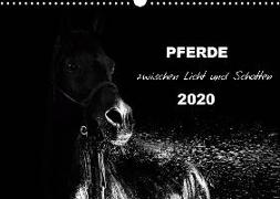 Pferde zwischen Licht und Schatten (Wandkalender 2020 DIN A3 quer)