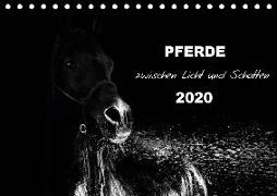 Pferde zwischen Licht und Schatten (Tischkalender 2020 DIN A5 quer)