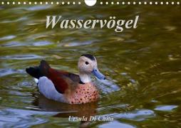 Wasservögel (Wandkalender 2020 DIN A4 quer)