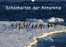Schönheiten der Antarktis (Wandkalender 2020 DIN A3 quer)