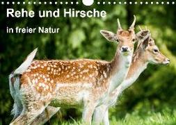 Rehe und Hirsche in freier Natur (Wandkalender 2020 DIN A4 quer)