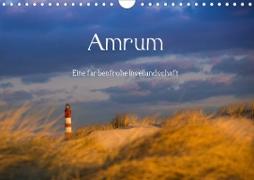 Amrum - Eine farbenfrohe Insellandschaft (Wandkalender 2020 DIN A4 quer)