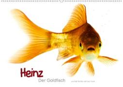 Heinz - Der Goldfisch (Wandkalender 2020 DIN A2 quer)