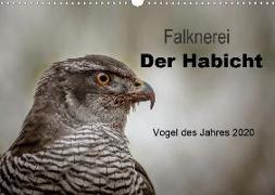 Falknerei Der Habicht (Wandkalender 2020 DIN A3 quer)