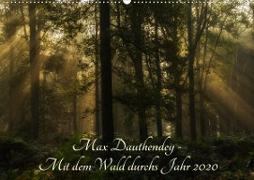 Max Dauthendey - Mit dem Wald durchs Jahr (Wandkalender 2020 DIN A2 quer)