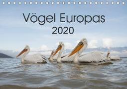 Vögel Europas 2020 (Tischkalender 2020 DIN A5 quer)