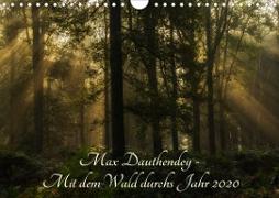 Max Dauthendey - Mit dem Wald durchs Jahr (Wandkalender 2020 DIN A4 quer)