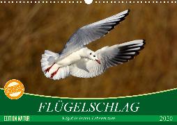 Flügelschlag - Vögel in ihrem natürlichen Lebensraum (Wandkalender 2020 DIN A3 quer)