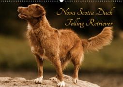 Nova Scotia Duck Tolling Retriever (Wandkalender 2020 DIN A2 quer)