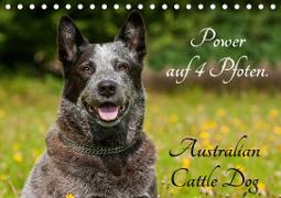 Power auf 4 Pfoten. Australian Cattle Dog (Tischkalender 2020 DIN A5 quer)