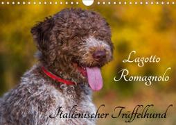 Lagotto Romagnolo - Italienischer Trüffelhund (Wandkalender 2020 DIN A4 quer)