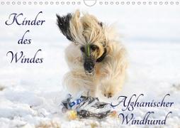 Kinder des Windes - Afghanischer Windhund (Wandkalender 2020 DIN A4 quer)