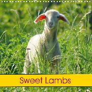 Sweet Lambs (Wall Calendar 2020 300 × 300 mm Square)