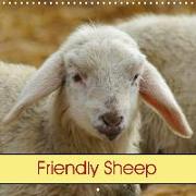 Friendly Sheep (Wall Calendar 2020 300 × 300 mm Square)