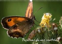 Papillons de nos contrées (Calendrier mural 2020 DIN A3 horizontal)