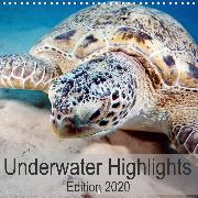 Underwater Highlights Edition 2020 (Wall Calendar 2020 300 × 300 mm Square)
