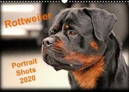 Rottweiler Portait Shots 2020 (Wall Calendar 2020 DIN A3 Landscape)