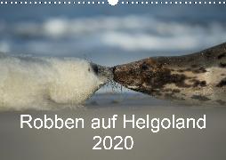 Robben auf Helgoland 2020CH-Version (Wandkalender 2020 DIN A3 quer)
