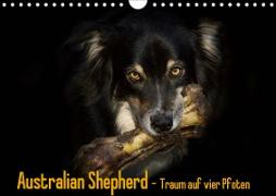 Australian Shepherd - Traum auf vier Pfoten (Wandkalender 2020 DIN A4 quer)