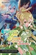 Sword Art Online, Vol. 17 (light novel)