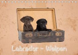 Labrador - Welpen (Tischkalender 2020 DIN A5 quer)