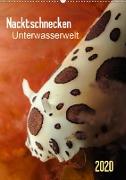 Nacktschnecken - Unterwasserwelt 2020 (Wandkalender 2020 DIN A2 hoch)