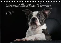 Colored Boston Terrier 2020 (Tischkalender 2020 DIN A5 quer)