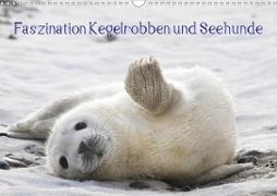 Faszination Kegelrobben und Seehunde 2020 (Wandkalender 2020 DIN A3 quer)