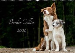 Border Collies 2020 (Wandkalender 2020 DIN A2 quer)