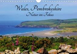 Wales Pembrokeshire - Natur im Fokus- (Wandkalender 2020 DIN A4 quer)