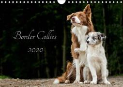 Border Collies 2020 (Wandkalender 2020 DIN A4 quer)