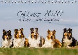 Collies 2020 in Kurz- und Langhaar (Tischkalender 2020 DIN A5 quer)