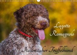 Lagotto Romagnolo - Italienischer Trüffelhund (Wandkalender 2020 DIN A3 quer)