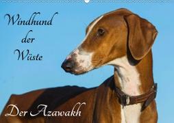Windhund der Wüste - Der Azawakh (Wandkalender 2020 DIN A2 quer)