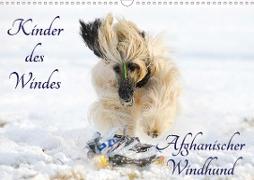 Kinder des Windes - Afghanischer Windhund (Wandkalender 2020 DIN A3 quer)
