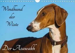 Windhund der Wüste - Der Azawakh (Wandkalender 2020 DIN A4 quer)
