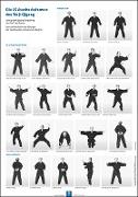 Die 15 Ausdrucksformen des Taiji Qigong Poster
