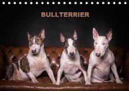 Bullterrier (Tischkalender 2020 DIN A5 quer)