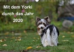 Mit dem Yorki durch das Jahr 2020 (Wandkalender 2020 DIN A3 quer)